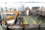 Những hiểu biết thiết yếu về MFCA doanh nghiệp cần nắm bắt