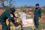 700kg thịt gân gà không rõ nguồn gốc 'suýt' chót lọt vào Việt Nam