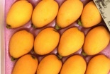 Gần 4 triệu đồng một kg nhót Nhật