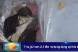 Bắt hơn 2,5 tấn nội tạng động vật thối ngụy trang cực tinh vi