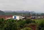 Xây trang trại nuôi heo ‘chui’: Masan bị phạt bao nhiêu?