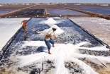 Sản xuất muối sấy chất lượng cao nhờ 'đột phá' về công nghệ, thiết bị  