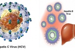 Khuyến cáo mới nhất về an toàn dùng thuốc điều trị viêm gan siêu vi C