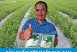 Đi tìm nguồn gốc 'thần dược' chữa Viêm Gan B