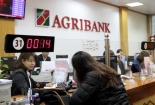 Lào Cai: Sổ tiết kiệm Agribank trị giá hàng chục tỷ đồng nghi bị làm giả