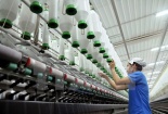 TQM và Lean Six Sigma doanh nghiệp nên áp dụng phương pháp quản lý nào?