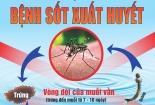 Bệnh sốt xuất huyết bắt đầu vào mùa, cần phòng tránh như thế nào?