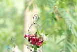 Kỹ thuật trồng cây thủy canh trong bình thủy tinh đẹp hút hồn