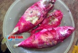Cá kho đổi màu đỏ rực bất thường ở Hà Tĩnh: Công bố nguyên nhân