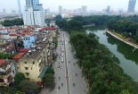 Hà Nội cân nhắc thay thế hơn 4.000 cây xà cừ trong nội thành