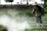 5.000 người ngộ độc thực phẩm/năm, an toàn thực phẩm đã đến mức báo động