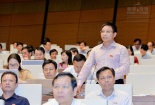 Tiền nợ xấu 600 nghìn tỷ có thể xây được 3 sân bay Long Thành
