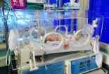 Uống mật khỉ chống sốt co giật, bé trai 5 ngày tuổi nguy kịch