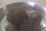 Nghệ An: Mổ lợn nái, phát hiện 4 vật lạ nghi cát lợn tiền tỷ