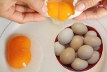 Giải mã tại sao trứng gà có đầu to đầu nhỏ và có quả trứng 2 lòng đỏ 