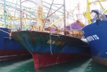 Vụ tàu vỏ thép hư hỏng: Khởi kiện công ty đóng tàu né trách nhiệm