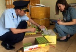 Thu giữ 3.600 ống thuốc thúc hoa quả chín: Người Việt đang chết từ từ vì hóa chất?