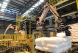 BSR tạo nền tảng bền vững cho hành trình tương lai