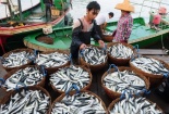 Nửa tháng tới Bộ Y tế phải công bố chất lượng hải sản tầng đáy 4 tỉnh miền Trung