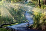 Cảnh báo tai nạn giao thông: Đèo Prenn - Nỗi khiếp sợ của giới tài xế