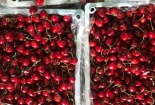 Cherry Trung Quốc giá rẻ chiếm lĩnh chợ online