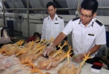 Những con số đáng báo động về an toàn thực phẩm 6 tháng đầu năm