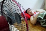 Mỹ cảnh báo: Người già sử dụng quạt điện có thể gây tổn hại tim
