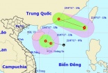 Tin tức mới nhất về cơn bão số 3 - cơn bão Roke di chuyển theo hướng Tây Bắc