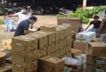 Thủ đoạn chiết xuất hóa chất vào các chai thuốc bảo vệ thực vật nổi tiếng để bán