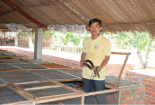 Kỹ thuật nuôi rắn ráo trâu cho người nông dân thu bội tiền