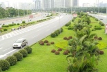 Hà Nội để cỏ mọc tự nhiên, dành 700 tỷ phí cắt cỏ trồng thêm những cây gì?