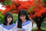 Đại học Đà Nẵng: Điểm chuẩn dao động rất lớn từ 15,5 đến 24,75