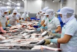 Mỹ ‘siết’ quy định chất lượng, cá da trơn Việt Nam gặp khó