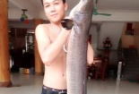 Nghệ An: Cá lệch ‘khủng’ mắc lưới ngư dân được bán với giá 20 triệu đồng