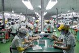Đã đến lúc cần xem lại toàn diện chất lượng xuất khẩu