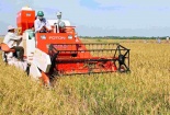 Đề xuất hỗ trợ cơ giới hóa, giảm tổn thất trong nông nghiệp
