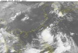 Cập nhật tin tức mới nhất về cơn bão Hato đang tiến gần biển Đông