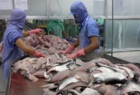 Hơn 1.000 doanh nghiệp mất cơ hội xuất khẩu vào Mỹ, 'giải cứu' bằng cách nào?