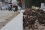 Hà Nội: Cận cảnh quá trình thay áo mới cho vỉa hè Nguyễn Trãi