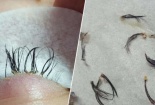 Cảnh báo: Gắn mi giả coi chừng 'đi' luôn mi thật