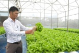 Chàng trai 8X làm giàu nhờ trồng rau thủy canh