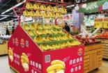 Bầu Đức xuất khẩu hơn 300 tấn chuối sang Trung Quốc mỗi ngày