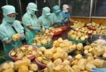 Gia tăng năng lực cạnh tranh cho nông sản xuất khẩu