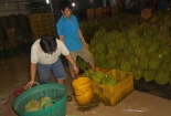 Phát hiện hàng chục tấn sầu riêng ngâm hóa chất