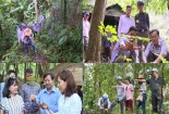 Bộ KH&CN tăng cường ngăn chặn, xử lý hoạt động kinh doanh sâm Ngọc Linh giả