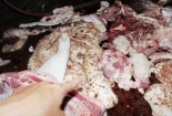 Đồng Nai: Bắt quả tang cơ sở giết mổ heo bệnh đem bán ra thị trường