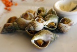 Đẳng cấp nhà giàu Việt: Bỏ tiền triệu mua tôm Bắc cực, ốc Bulot Pháp