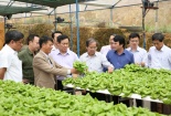 Nâng cao chất lượng sản phẩm hàng hóa, đẩy mạnh triển khai nông nghiệp 4.0