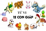 Tử vi hôm nay thứ bảy ngày 21/10/2017 của 12 con giáp