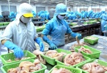 Doanh nghiệp thủy sản kêu khó khi áp quy chuẩn nước thải